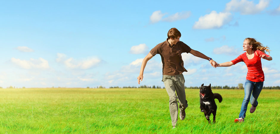 Happy Family with a Safe Pet Delivery